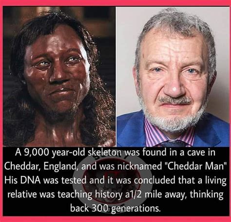 cheddar man living descendant.